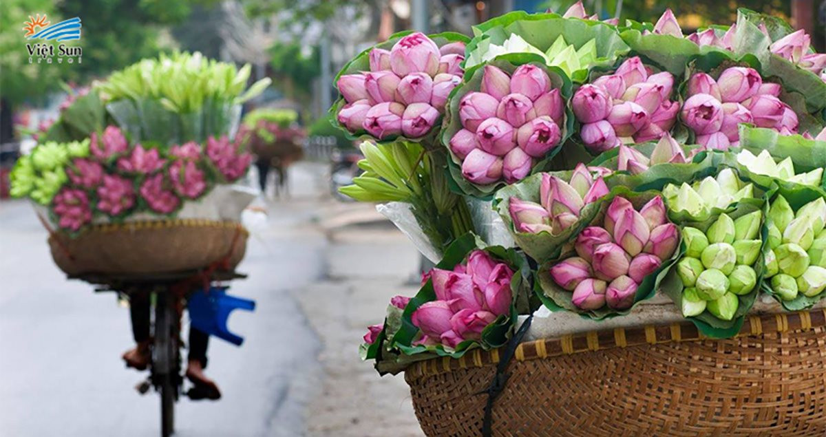Bài tham dự Cuộc thi viết “Kỷ niệm 70 năm Giải phóng Thủ đô: Ký ức tự hào”:Hà Nội tháng Sáu - rực rỡ sắc hoa hòa trong màu nắng