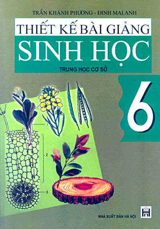 Thiết kế bài giảng Sinh học 6