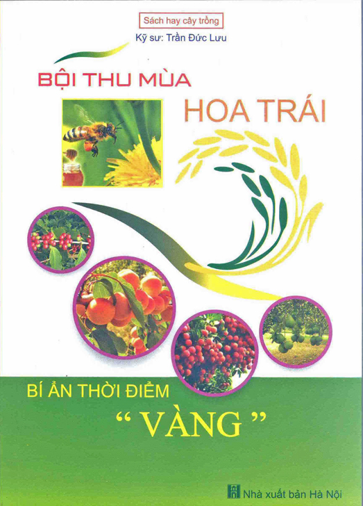 Bội thu mùa hoa trái bí ẩn thời điểm “Vàng”